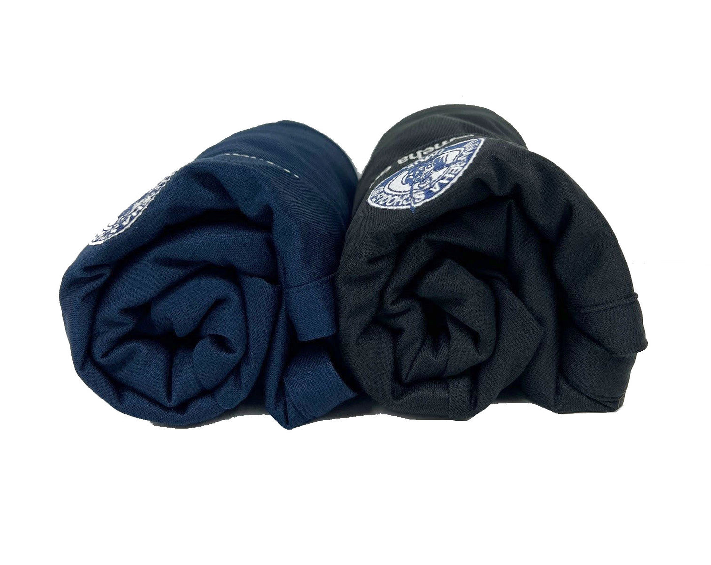 A0083 Women's Port Authority Long Sleeve Performance Polo