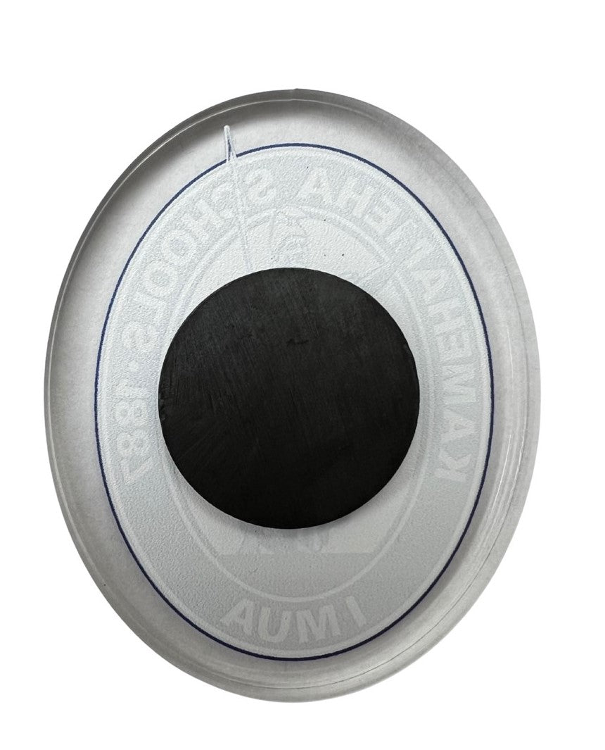 M0325 Clear Acrylic Logo Magnet